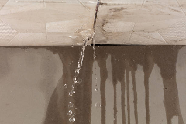 Professional Structural Drying technician working in Meredith, NH
